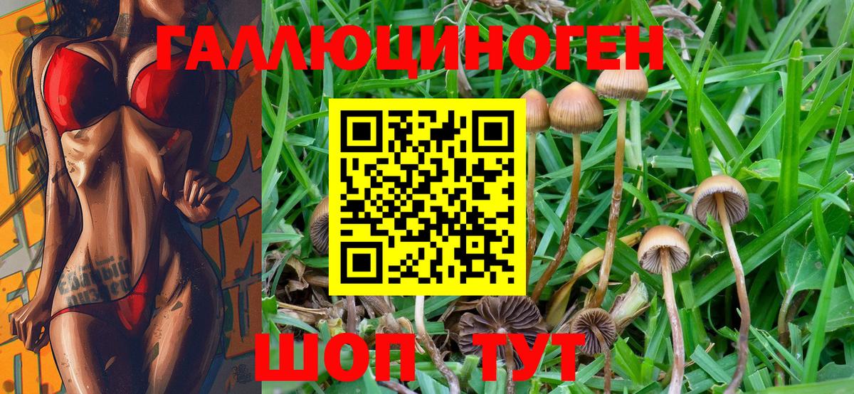 Псилоцибиновые грибы мухоморы Когалым
