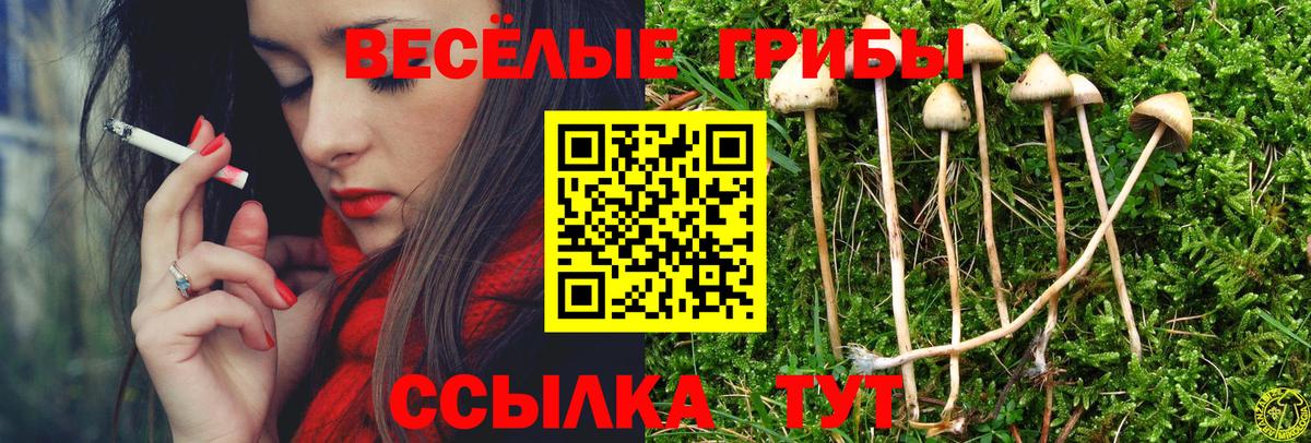 Галлюциногенные грибы прущие грибы  Галлюциногенные грибы ЛСД  Вход с VPN  Когалым 